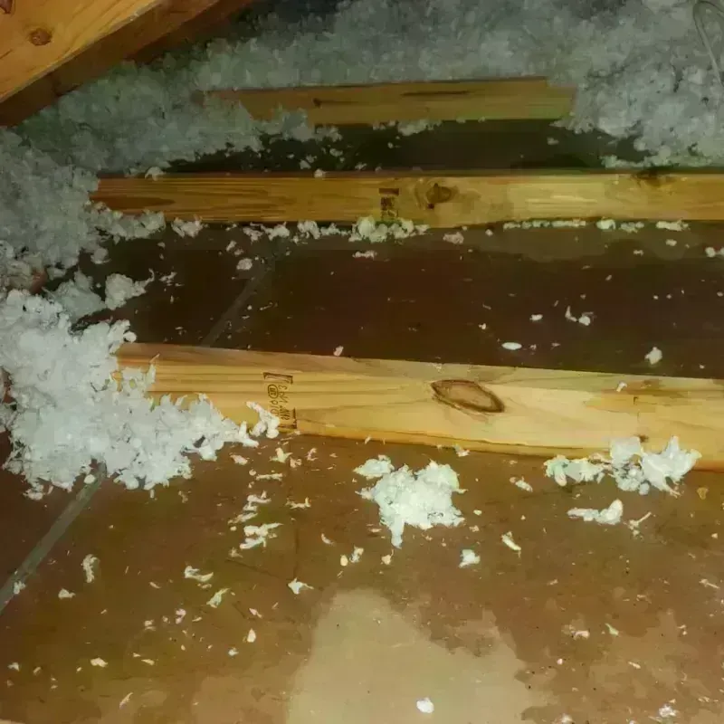 Attic Water Damage in Manton, MI