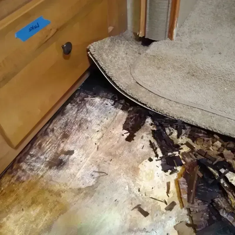 Wood Floor Water Damage in Manton, MI